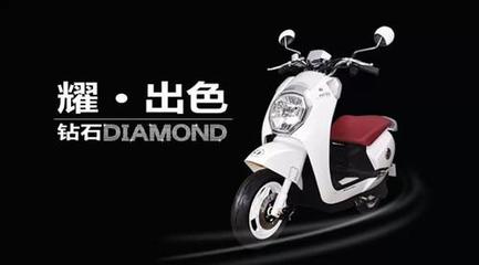 誰(shuí),才是電動(dòng)車(chē)行業(yè)的領(lǐng)頭羊?_中國(guó)電動(dòng)車(chē)網(wǎng)手機(jī)站