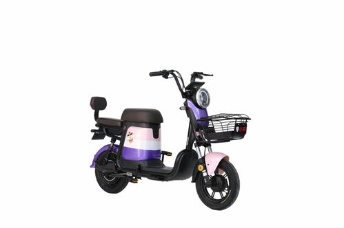 推薦幾款適合跑美團(tuán)眾包的電動(dòng)車(chē)