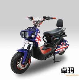 福州卓瑪電動車價格 卓瑪電動車多少錢 刀鋒供,福州卓瑪電動車價格 卓瑪電動車多少錢 刀鋒供生產(chǎn)廠家,福州卓瑪電動車價格 卓瑪電動車多少錢 刀鋒供價格