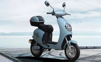 雅迪、臺鈴、綠佳、新大洲這些電動車企業,都有什么動作?