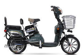 富悅64v h產品圖片展示 全球電動車網